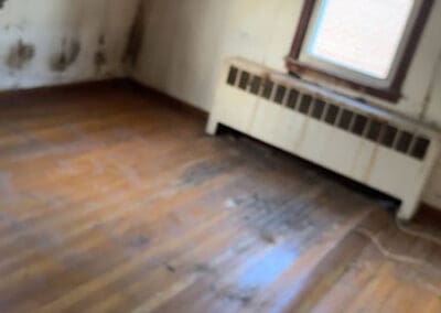 After house clean out services