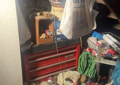 House clean out services